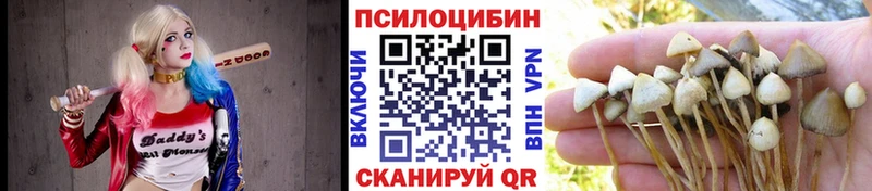 Галлюциногенные грибы Psilocybe  наркота  Облучье 